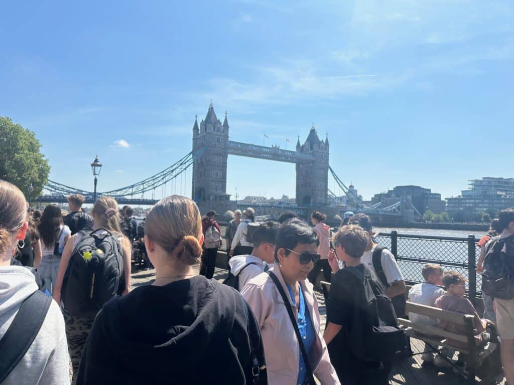 IMG 0260