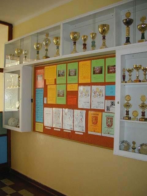 ZŠ Bor – Úspěchy ZŠ Bor - Úspěchy